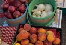 Richmond Farmers Market returns