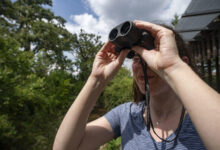 New Birding Workshops Announced In West Texas, East Texas