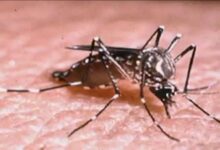 Person tests positive for West Nile in Sugar Land