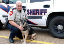 Montgomery County Sheriff’s Office in statewide online contest for K-9 funding