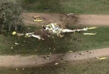 2 Killed When Paraglider, Cessna Crash Near Houston