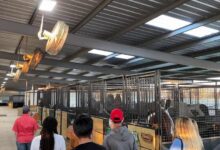 Fun in Fort Bend: Reining Strength helps heal, bond through horsemanship in Richmond