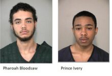 Two teens charged in carjacking, assault investigations