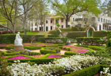 Take to family-friendly fun for Spring Break in Greater Houston