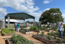 New Vegetable Garden Education Center Opens June 3 In Rosenberg