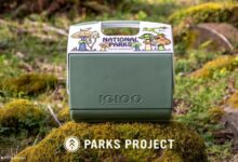 Igloo Grows Its Parks Project with New Mushrooms ECOCOOL® Playmate Cooler