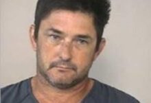 Owner arrested after seven dogs maul elderly Texas man to death