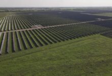 Texas’ second-largest solar farm being built outside of Houston