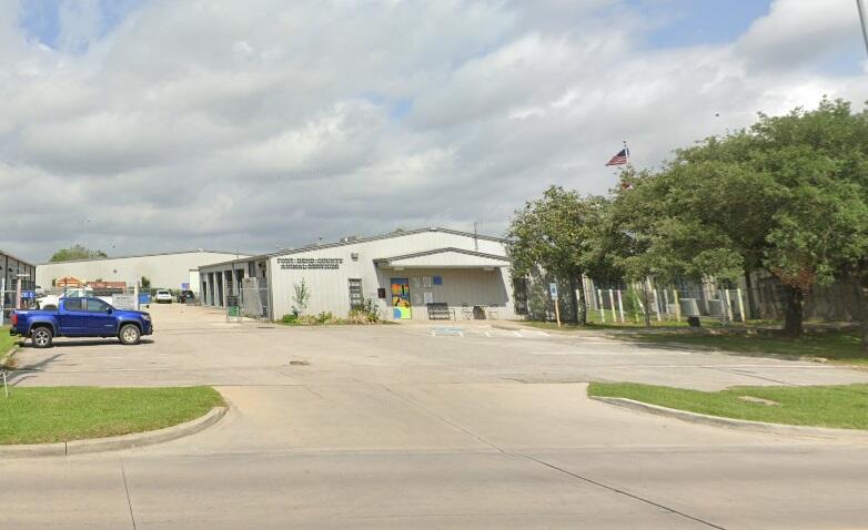 Overcrowded Fort Bend animal shelter helps more than 15 dogs stay warm as “freeze fosters”