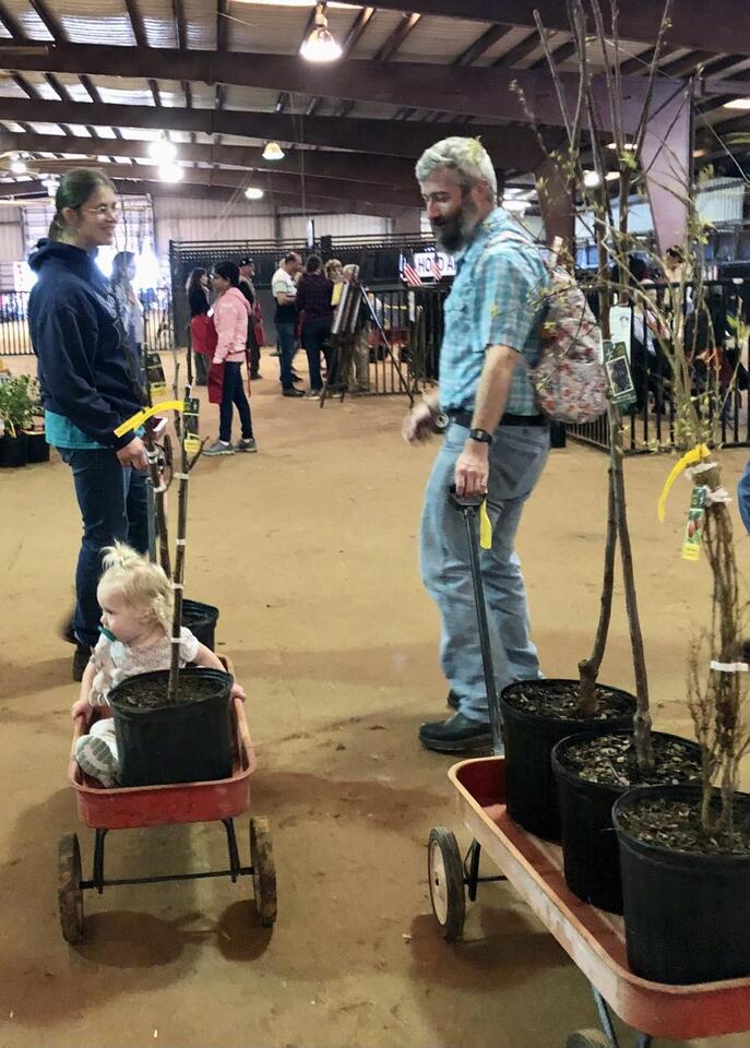 Fruit tree sale draws shoppers