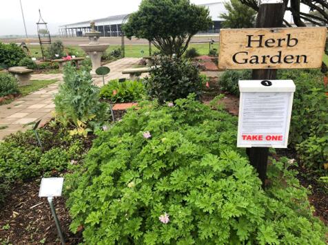 Master Gardeners invite you to tour Demonstration Gardens