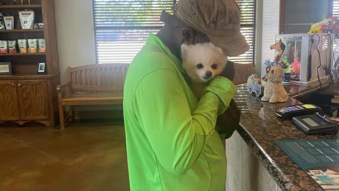 UPDATE: Missing Pomeranian found after being lost in Fort Bend County