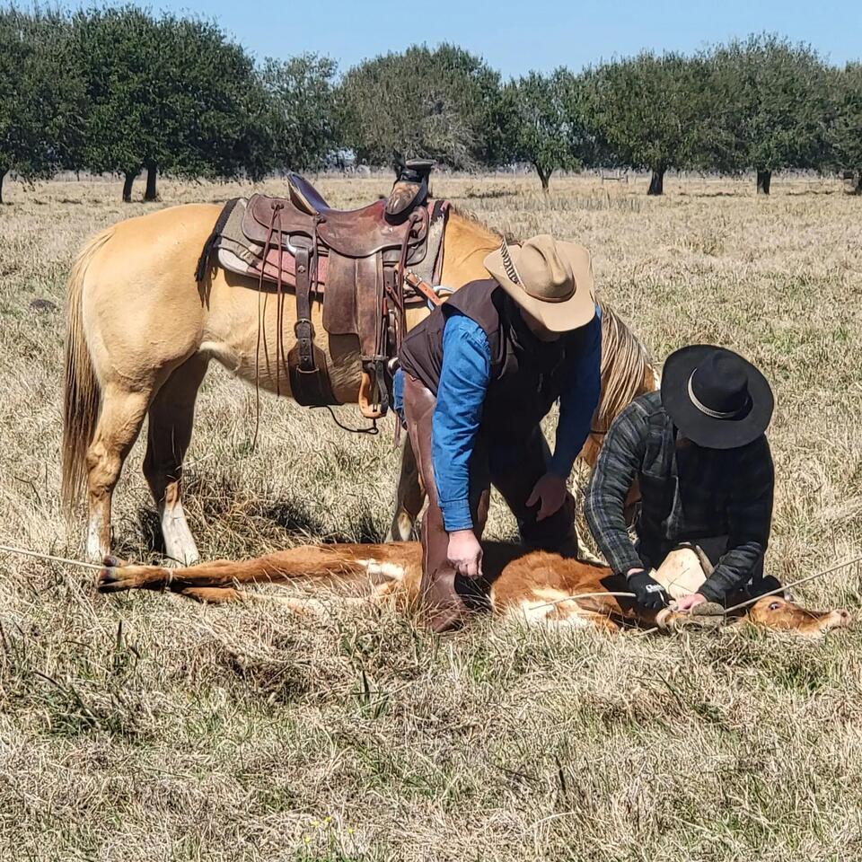 The George Ranch in Fort Bend County celebrates 200th anniversary