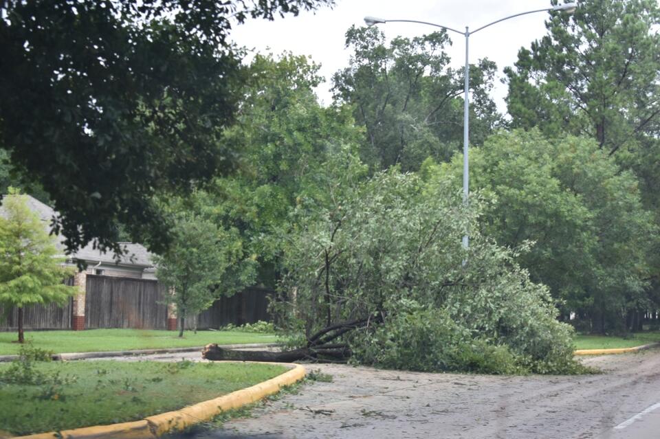 What Katy, Fulshear residents need to know about storm recovery