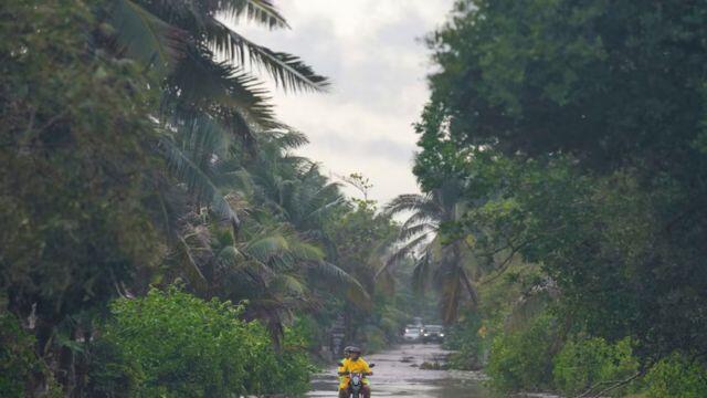 Fort Bend County Braces for Impact as Hurricane Beryl Hits Land