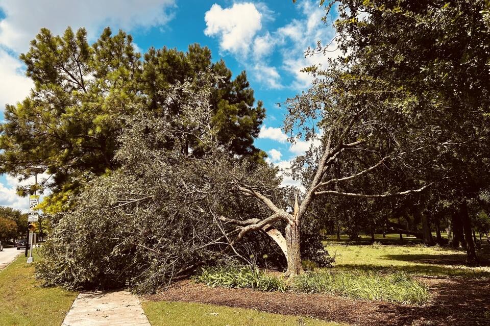 Recovery efforts continue in Katy, Fulshear following Hurricane Beryl