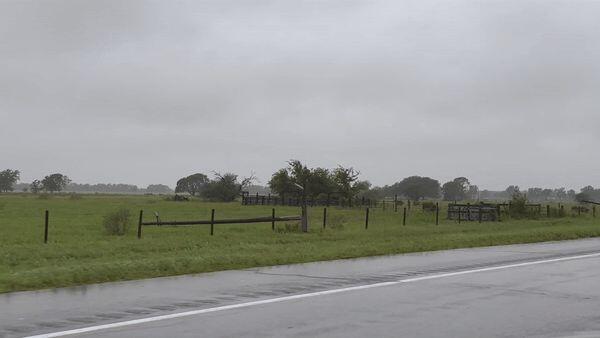 Beryl Topples Power Poles Along Southeast Texas Highway