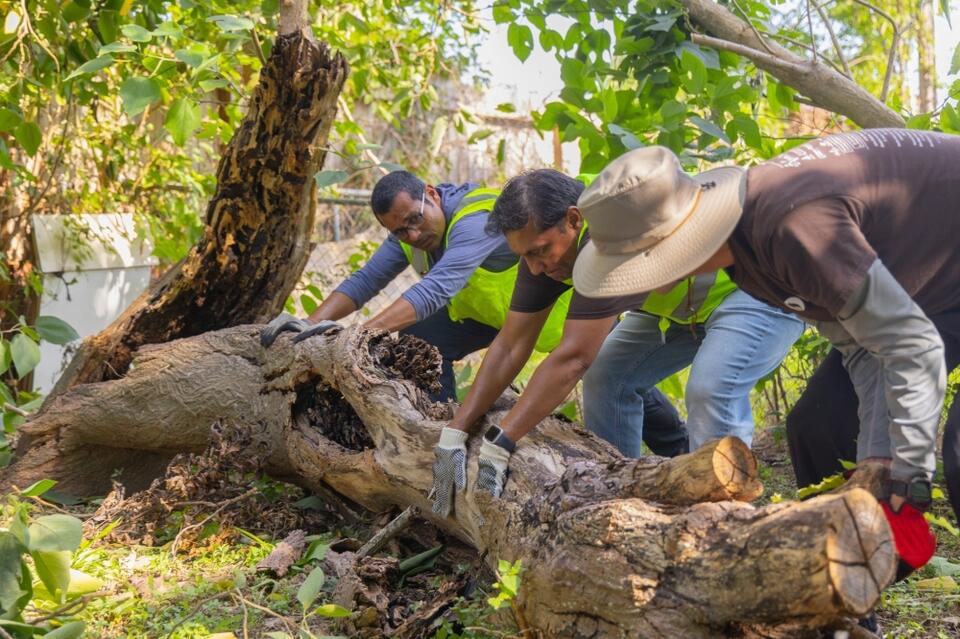 Sugar Land closes 6 mountain bike trails for debris cleanup